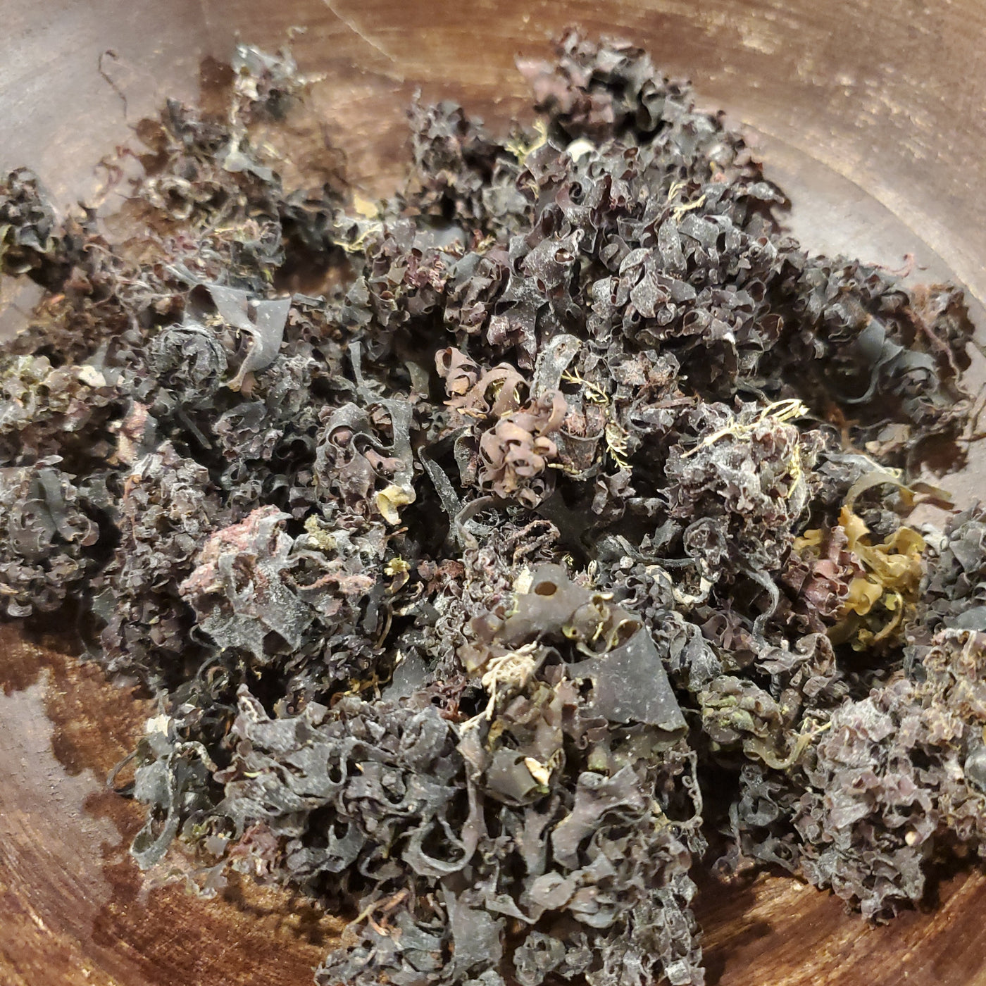 Chondrus crispus, dried, 4oz
