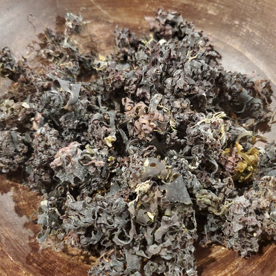 Chondrus crispus, dried, 4oz