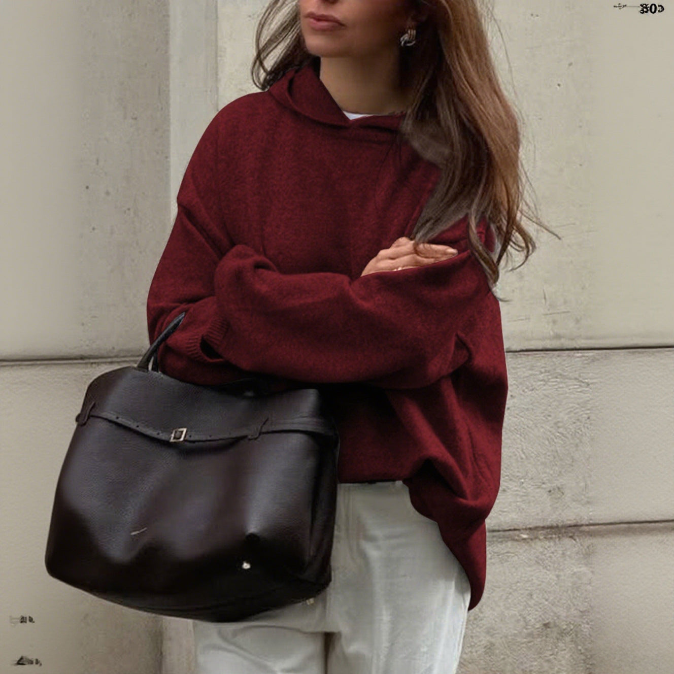 Minimalist Long Sleeve Hooded Sweater Woolen Clothing