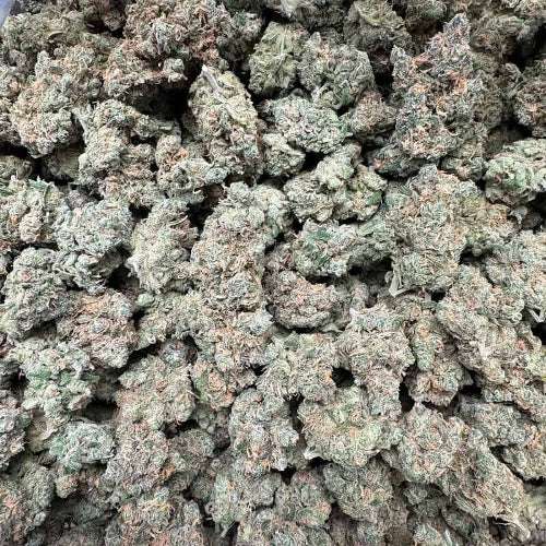 Blue Dream Exotic THCA Flower 27.30%
