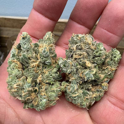 Blue Dream Exotic THCA Flower 27.30%