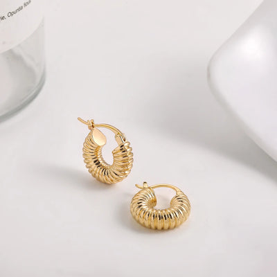 Punk Gold Color Twist Round Piercing Hoop Earrings Female Luxury CZ Crystal Geometric Ear Buckle Huggie Earrings Women Jewelry