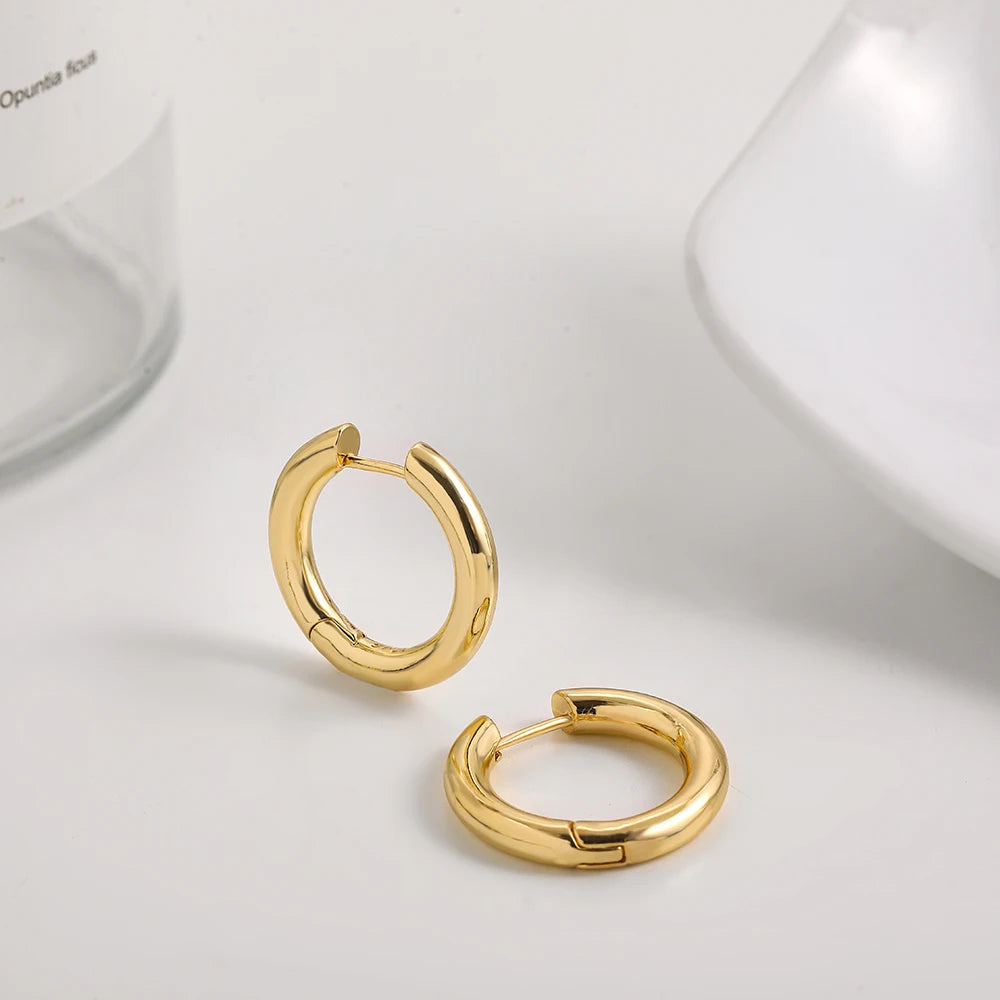 Punk Gold Color Twist Round Piercing Hoop Earrings Female Luxury CZ Crystal Geometric Ear Buckle Huggie Earrings Women Jewelry