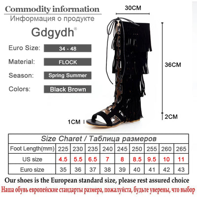 Sexy Tassel Gladiator Sandals Women Knee High Low Heel Back Zipper Spring Summer Shoes Ladies Open Toe Romen Style Retro