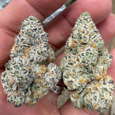 5PK • Hawaiian Snowcone Exotic THCa Pre-Roll