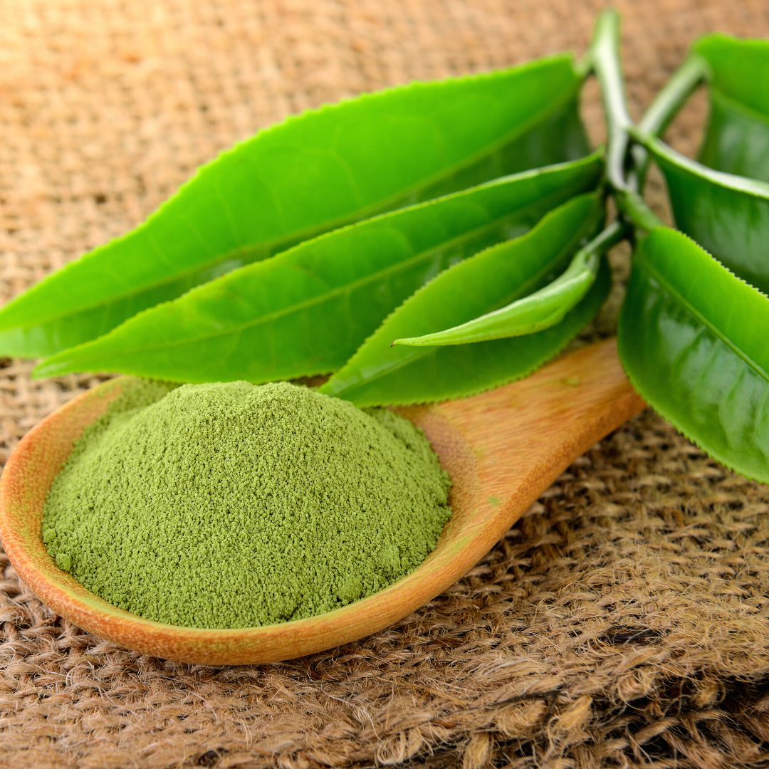 Tega Organic Japanese Matcha Green Tea Powder | 2 x 40g