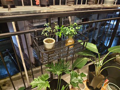 Elegant European-Style Flower Stand Expansive Iron Art Balcony Rail Organizer Decorative Hanging Pot Holder Urban Green Space