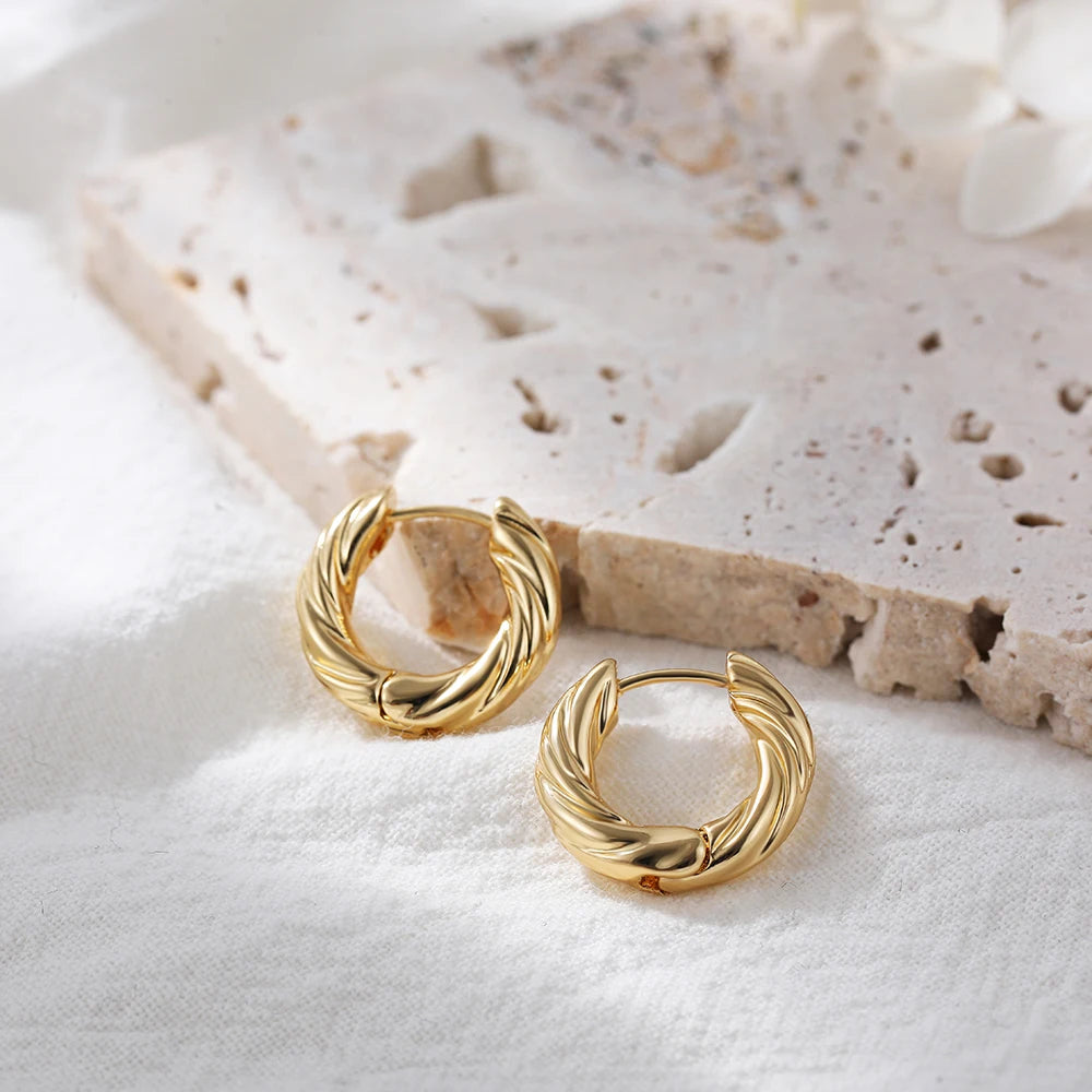 Punk Gold Color Twist Round Piercing Hoop Earrings Female Luxury CZ Crystal Geometric Ear Buckle Huggie Earrings Women Jewelry