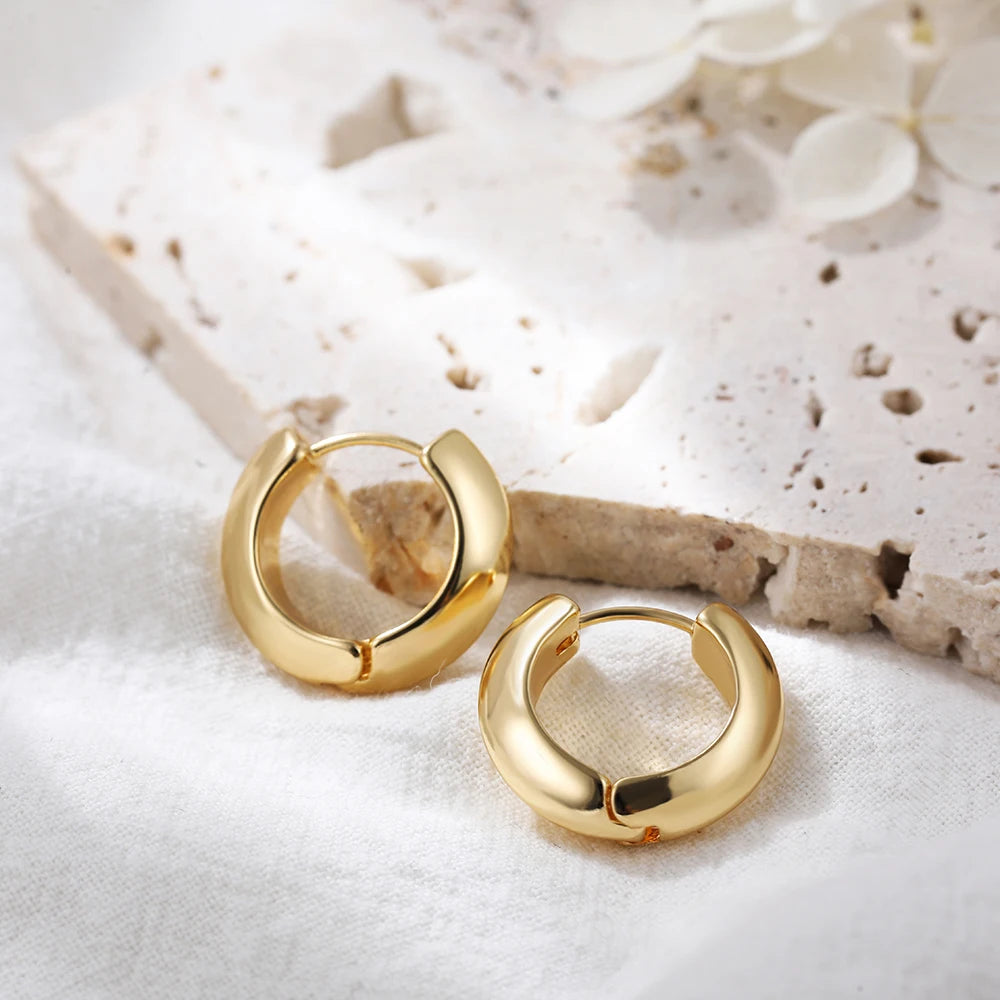 Punk Gold Color Twist Round Piercing Hoop Earrings Female Luxury CZ Crystal Geometric Ear Buckle Huggie Earrings Women Jewelry