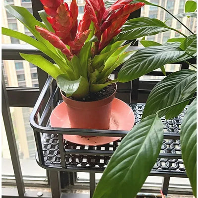 Elegant European-Style Flower Stand Expansive Iron Art Balcony Rail Organizer Decorative Hanging Pot Holder Urban Green Space