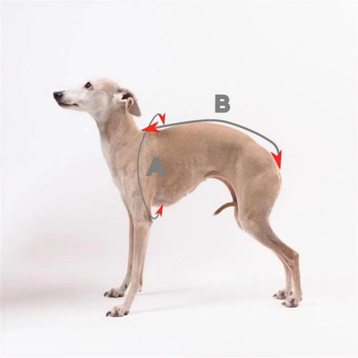 Turtleneck Twist Knitted Sweater for Dogs, Italian Greyhound Whippet, Warm Dog Coat, Dog's Winter Clothing