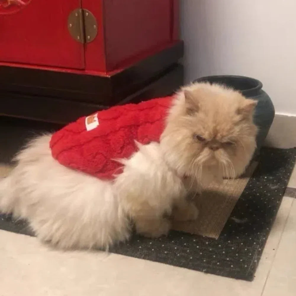 Cat Fleece Sweatshirt Autumn Winter Warm Clothes For Small Medium Dogs Cats Kitten Outdoor Jacket Coat Pet Chihuahua Sweater