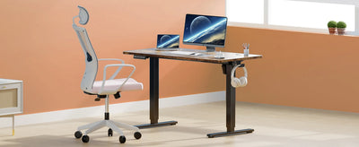 JHK Electric Desk Height Adjustable 63x24 Inch Stand Up Sit Stand Computer Workstation Ergonomic Work Table For Home Office