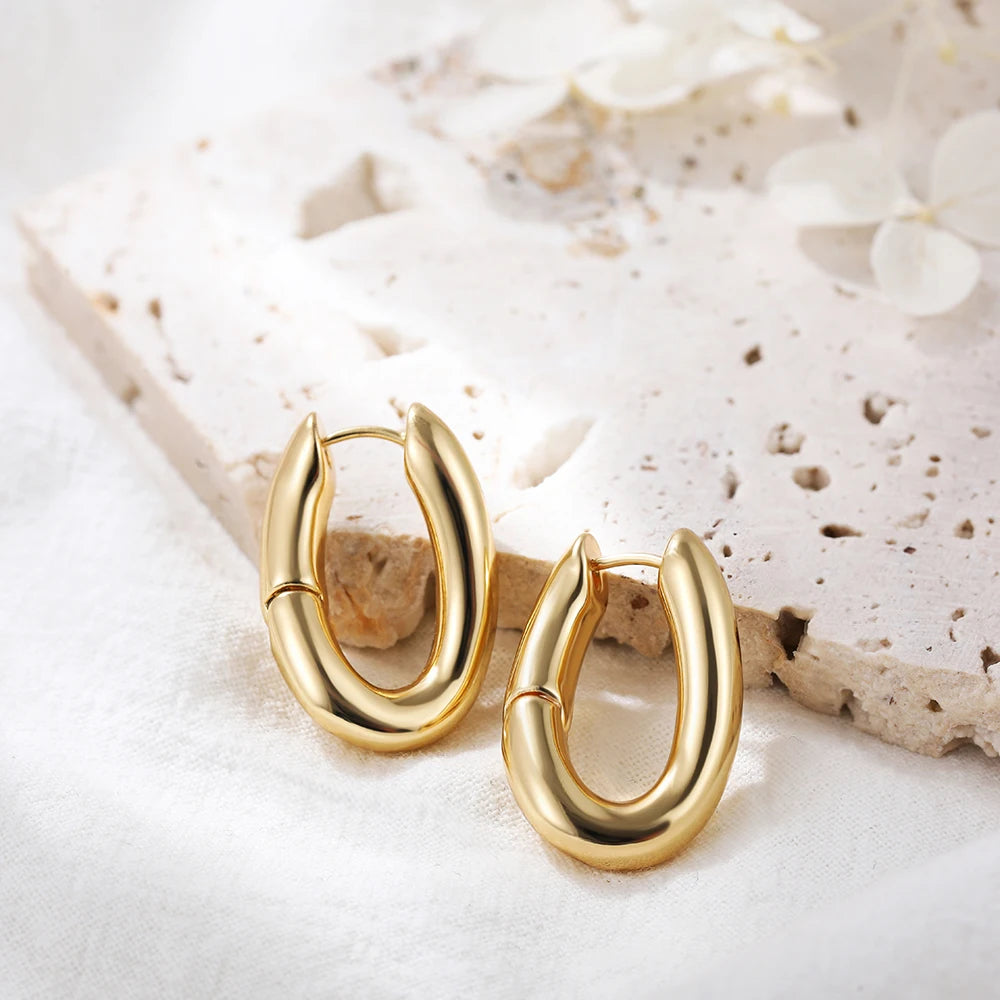 Punk Gold Color Twist Round Piercing Hoop Earrings Female Luxury CZ Crystal Geometric Ear Buckle Huggie Earrings Women Jewelry