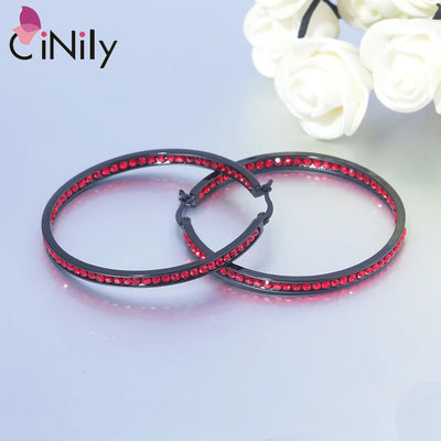 CiNily Hoop Earrings Silver Plated Mult-colors CZ Crystal Stone Stainless Steel Big Round Punk Earring for Women Summer Jewerly