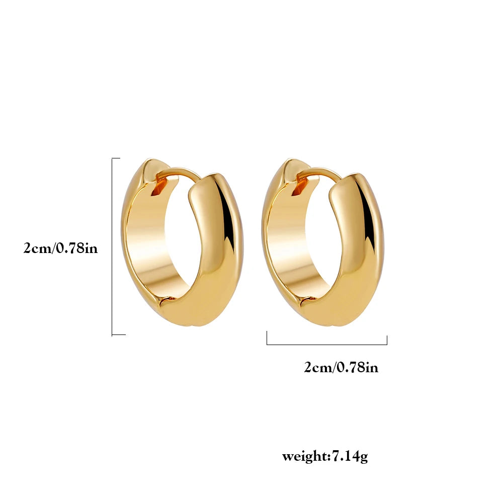 Punk Gold Color Twist Round Piercing Hoop Earrings Female Luxury CZ Crystal Geometric Ear Buckle Huggie Earrings Women Jewelry