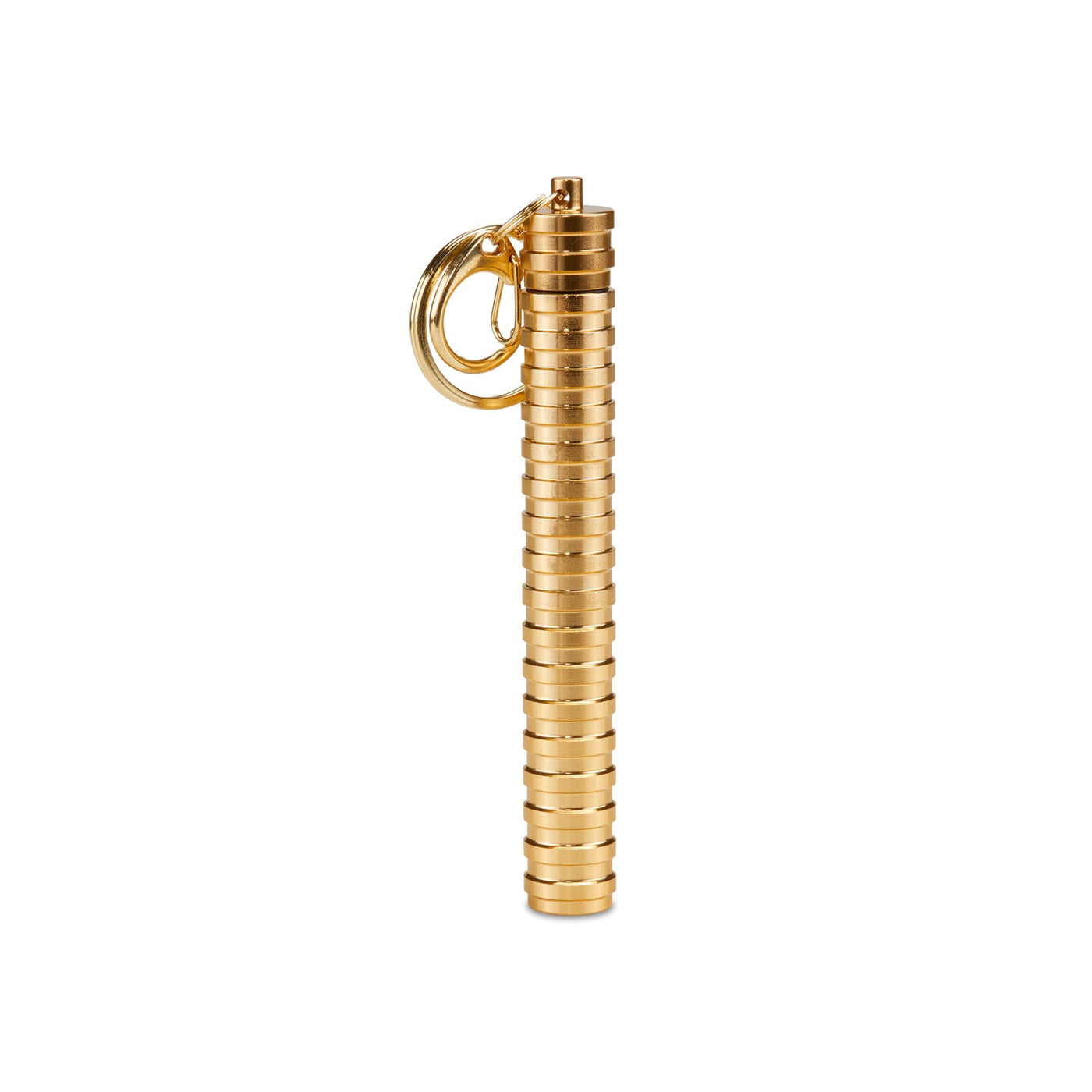 Carry Case Keychain - gold