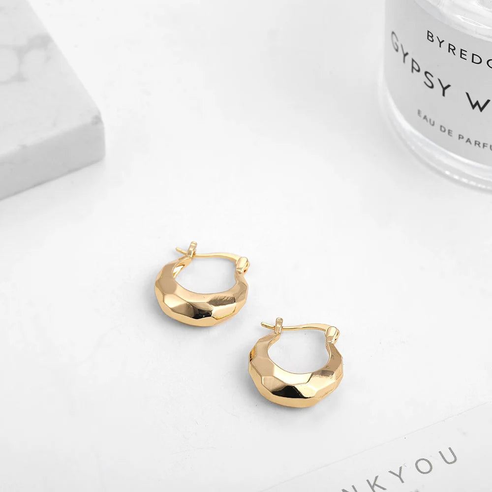 Punk Gold Color Twist Round Piercing Hoop Earrings Female Luxury CZ Crystal Geometric Ear Buckle Huggie Earrings Women Jewelry