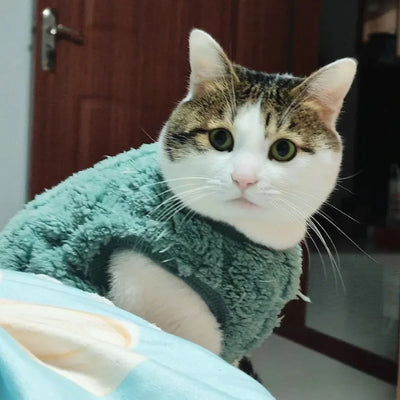 Cat Fleece Sweatshirt Autumn Winter Warm Clothes For Small Medium Dogs Cats Kitten Outdoor Jacket Coat Pet Chihuahua Sweater