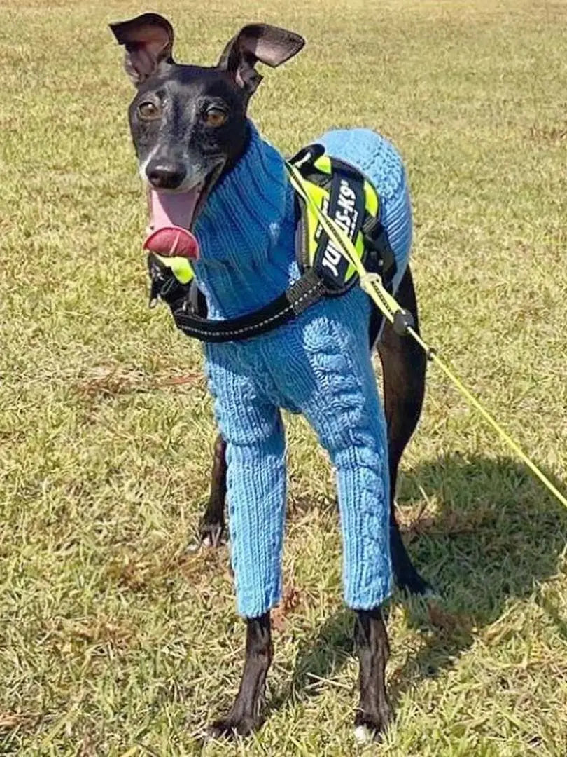 Turtleneck Twist Knitted Sweater for Dogs, Italian Greyhound Whippet, Warm Dog Coat, Dog's Winter Clothing