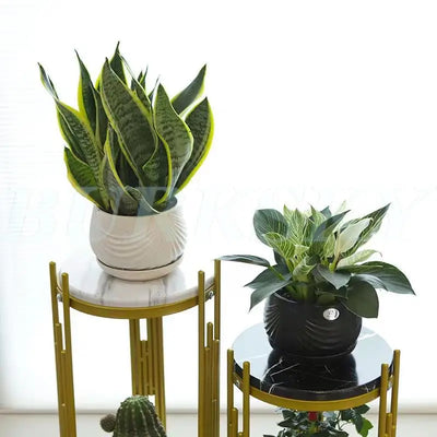 Plant Stand  Flower Stand 2 Tier Flower Shelf Planter Rack Storage Organizer Display Indoor Garden Balcony Storage Rack