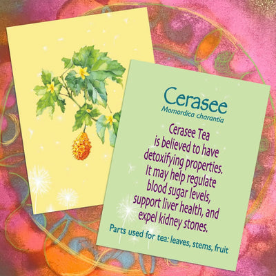 Healing Plants: Herbal Teas for Vitality, 52 Flashcards
