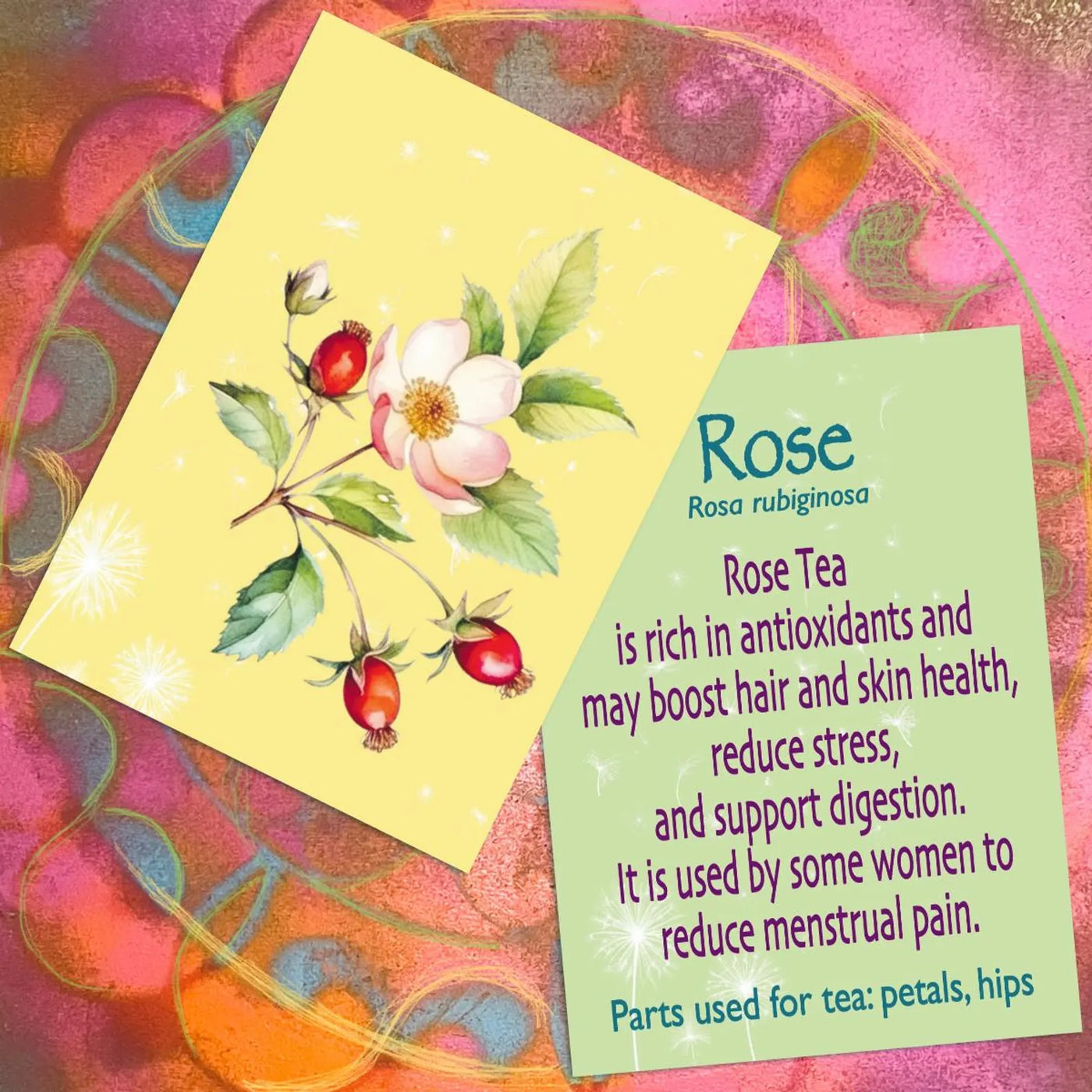 Healing Plants: Herbal Teas for Vitality, 52 Flashcards