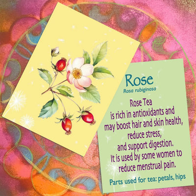 Healing Plants: Herbal Teas for Vitality, 52 Flashcards
