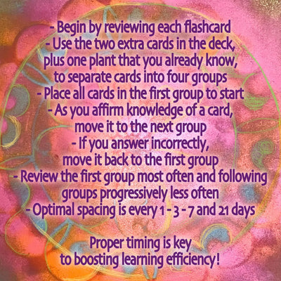 Healing Plants: Herbal Teas for Vitality, 52 Flashcards