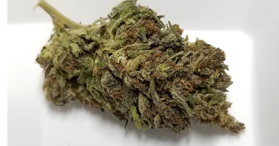Cherry Wine II (Indoor)