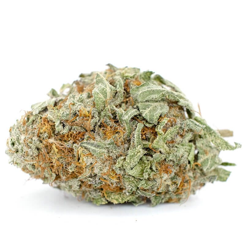 Platinum Haze CBG