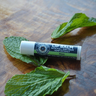Lip Balm (Lime, Mint, Natural)