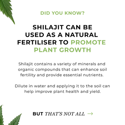 Pure Himalayan Shilajit Resin
